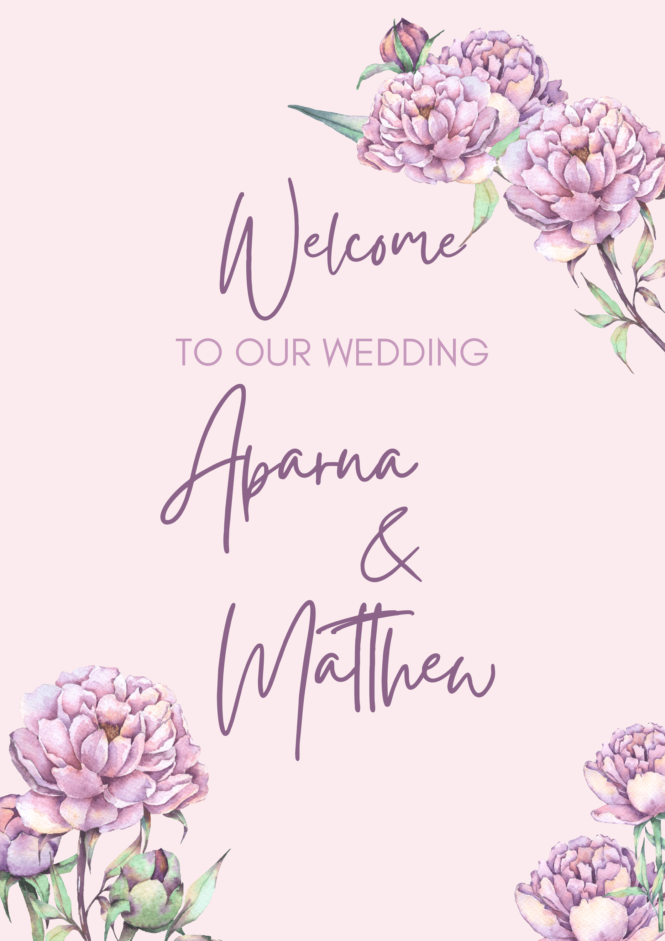 Matthew & Aparna